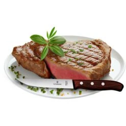 Victorinox Steakmesser Wood 5.1120.2G, Mit Holzgriff, Braun, Set 2 Stück 8 Victorinox Steakmesser Wood 5.1120.2G, Mit Holzgriff, Braun, Set 2 Stück -Knife Stock 4e306220d06e6fc1768422df94441224814434dc steakmesser victorinox wood 5.1120.2g