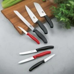 Victorinox Gemüssemesser Swiss Classic 6.7111.3, Rot, Edelstahl, Set 3-teilig -Knife Stock 60a47ea429a4d22c5ed42bcfe89d5bedb0964286 gemuesemesser victorinox swiss classic 6.7111.3
