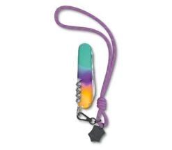 VICTORINOX Companion Sydney Style 1.3909.E222 9 VICTORINOX Companion Sydney Style 1.3909.E222 -Knife Stock 8f560891210d665ae14f86e4976899bf