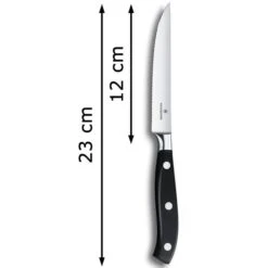Victorinox Steakmesser Grand Maitre 7.7203.12WG, Mit Kunststoffgriff, Schwarz 8 Victorinox Steakmesser Grand Maitre 7.7203.12WG, Mit Kunststoffgriff, Schwarz -Knife Stock c9dfefbbf51c5434200f10a7ffa20f04a580d60e steakmesser victorinox grand maitre 7.7203.12wg
