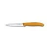 Victorinox Paring Knife 10 Cm 6.7736.L9 2 Victorinox Paring Knife 10 Cm 6.7736.L9 -Knife Stock d01935bd49b44da3f1326599405c6655