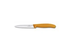 Victorinox Paring Knife 10 Cm 6.7736.L9