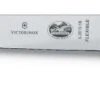 VICTORINOX Fish Filleting Knife 18 Cm 5.3810.18 2 VICTORINOX Fish Filleting Knife 18 Cm 5.3810.18 -Knife Stock e33e338f6ef8ada5a2b1a4810a600046